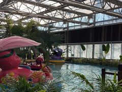 -南宫五洲植物乐园