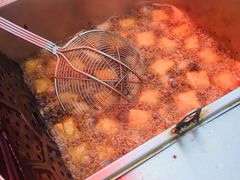 -两河城市森林公园