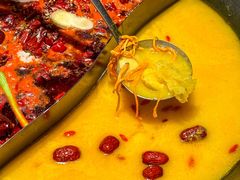 -朱光玉火锅馆(正弘城店)