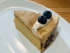 咖啡巴斯克-猫里有甜