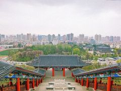 -金城公园