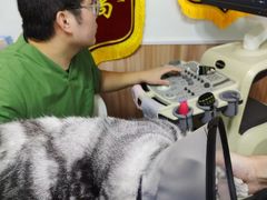 -瑞鹏宠物医院·内科·中兽医·骨科(苗圃店)