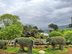 -铁山坪森林公园