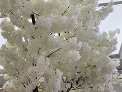 -艾薯夫妇Aysh(福田星河COCOPark店)