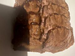 -国惠大酒楼(仓山万达店)