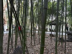 -开封包公祠