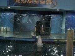 -苏州海洋馆