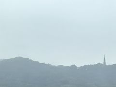 -西湖外事游船(花港观鱼码头)