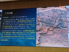 -四川大学博物馆