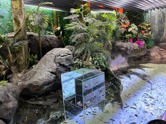 -上海海洋水族馆