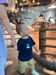 -Zoolung Zoolung动物主题公园(海信广场店)