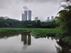 -龙头寺公园