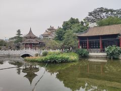 -顺峰山公园
