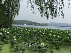 -菲乐餐厅(三十年经营·湖滨路店)