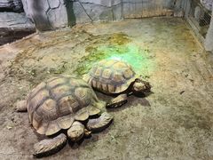 -石家庄市动物园