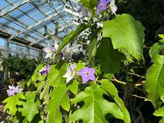 -国家植物园南园