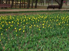 -长春公园(普阳街道)