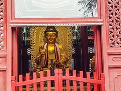 -天津大悲禅院