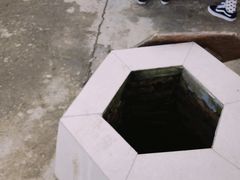 -小鱼草莓采摘园农家乐·小鱼餐厅