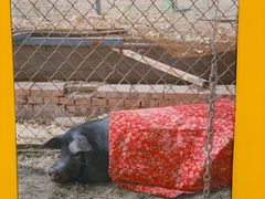 -chi K11艺术空间展览厅