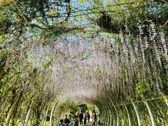 -同里国家湿地公园