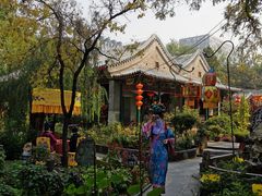 -白家大院·王府宫廷菜(苏州街店)