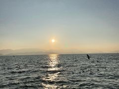 -大理洱海