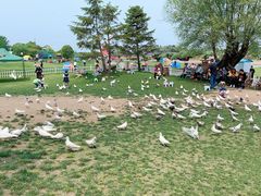 -南通洲际绿博园