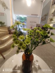 -MIDA蜜哒•科技逆龄美肤连锁