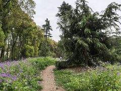 -上海共青森林公园