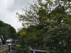-中山公园