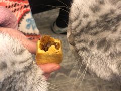 -BC烘焙伴手礼(新光天地店)