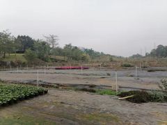 -李宁体育园