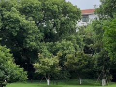 -范蠡湖公园