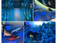 -陕西自然博物馆