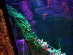 -沈阳海洋探索中心