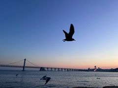 -星海广场