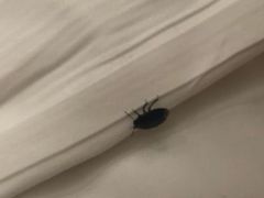 -帐篷客·溪龙茶谷度假酒店