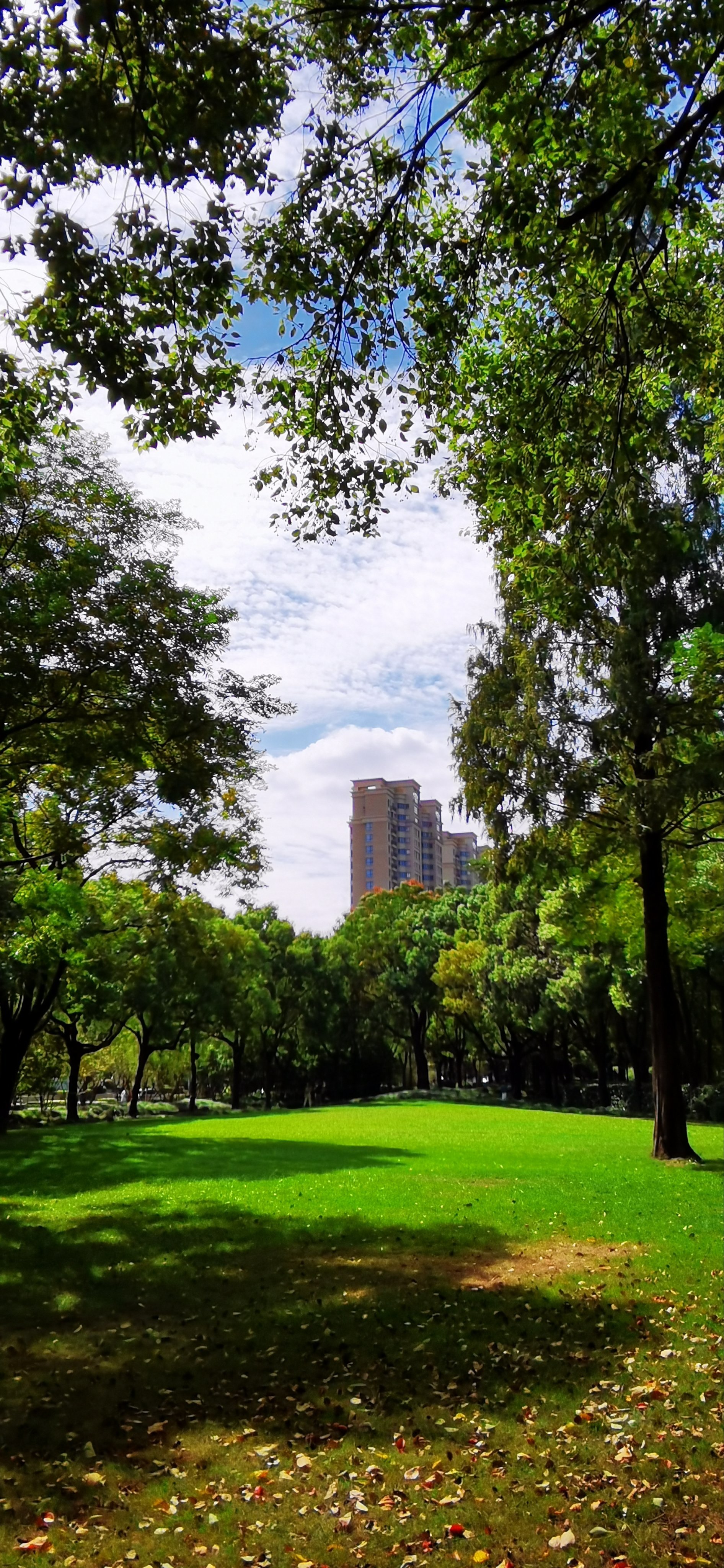 华泾公园:华泾镇最大的城市绿地