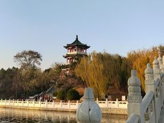 -莱西月湖公园