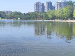 -太阳宫公园