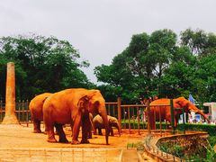 -昆明动物园