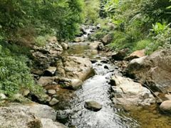 -广州市石门国家森林公园
