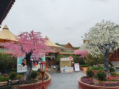 -珠海圆明新园