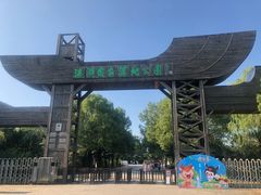 -溱湖国家湿地公园