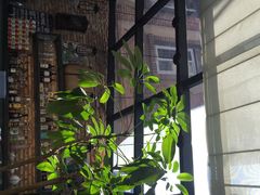 红墨咖啡旅馆(杨桃院子红墨店)-杨桃院子旅馆(厦门鼓浪屿中华红墨店)