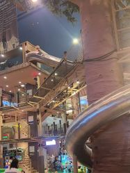 -卡通尼·Safari非洲探索乐园·生日会(金桥国际商业广场店)