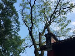 -南岳大庙