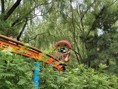 -朝阳公园游乐园