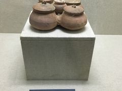 -广西壮族自治区博物馆